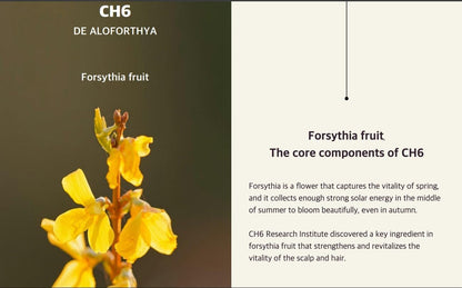 Wasfa Kalwanji CH6 Shampoo